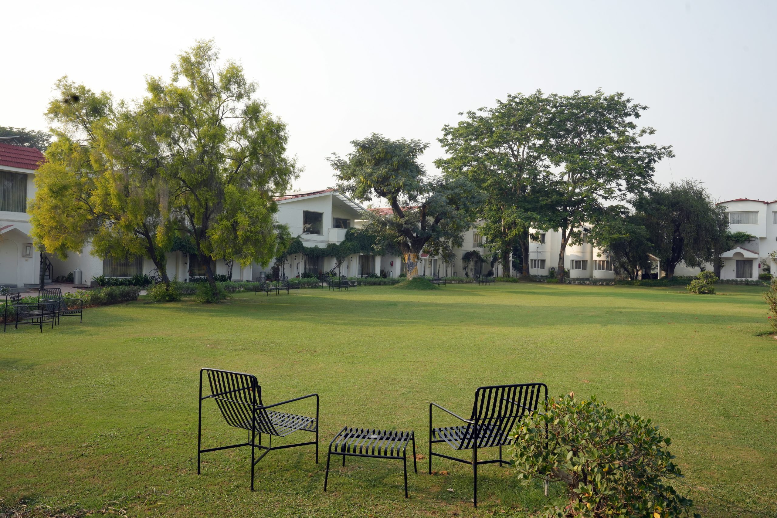 Lawns outside main resort rooms